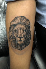 Small lion portrait 