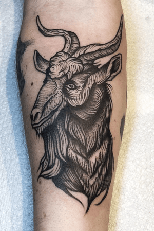 Goat done at Family Tattoo, Chicago.