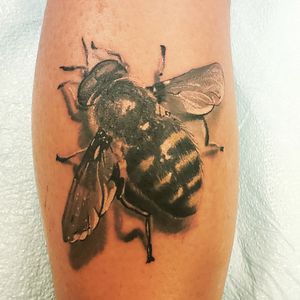 Bee color realism