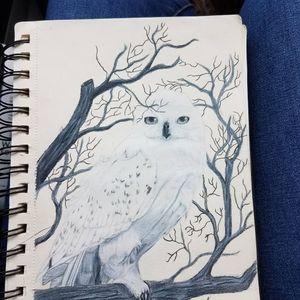 Here I have a commisioned piece, a little 9x12 realistic snow owl. Now I'm working on a larger print for another client, will post results later 🦉