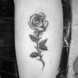 Rosa delicada na mão 🥰 #tattoofeminina #finelinetattoo #fineline #tat