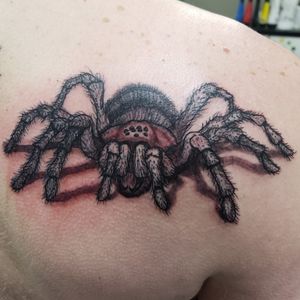 Got to rock out this bad ass tarantula style spider tonight.  One more session to go to add some color and highlights in it.  Please like and follow me @tattooedbyjesseFB, IG, SC, pinterest, tumblr, twitter, tattoodo app, and for my artist page; www.facebook.com/tattooedbyjesse#TattooedByJesse #ComeGetSomeInk #LoyaltyTattooCompany #DynamicBlack #Fusioninks #EternalInks #Tattoo #Tattoos #MichiganTattooArtists #MichiganPiercers #Tattooed #Symbeos #symbeostattoomachines  #spider #spidertattoo #tarantula #tarantulaish #hairy #littlelinesfordayslol