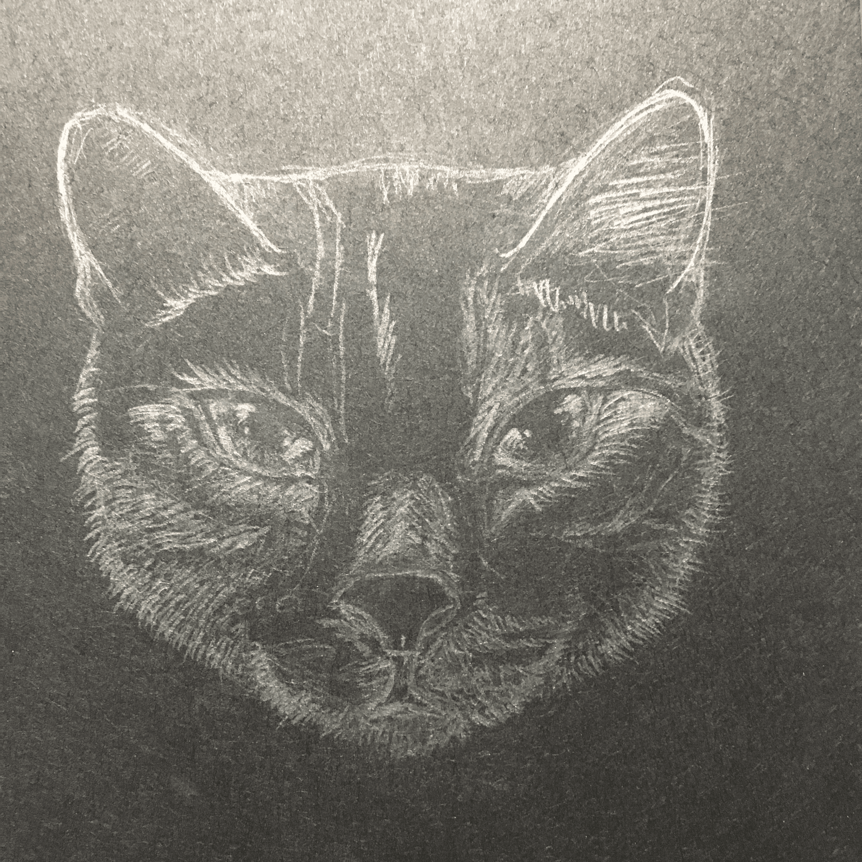 I Add White Light On Black Paper Instead Of Shadows (37 Pics)