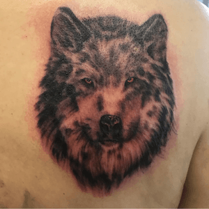 Photorealistic wolf tattoo using FK Irons Direkt2 and Kuro Sumi Shading Ink