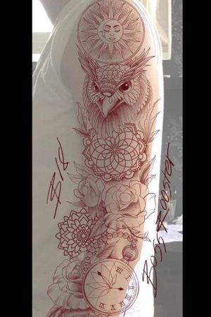 Amazing owl sleeve 