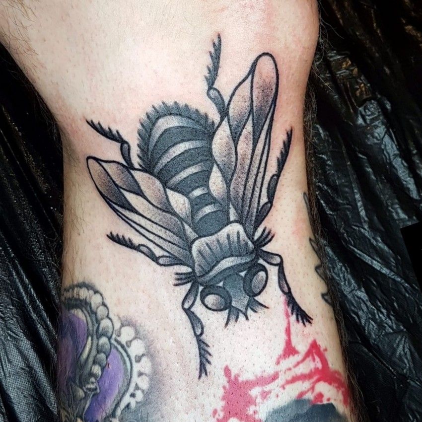 Little fly tattoo on the arm  Tattoogridnet
