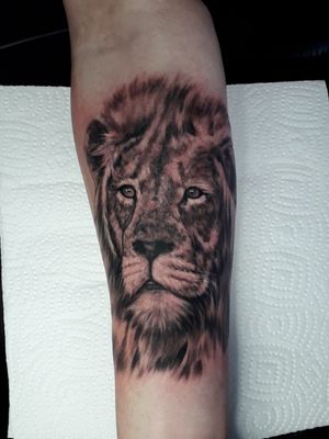 #lion #tattoo #realism #blackandgrey #art #artist #king #kingofthejungle 
