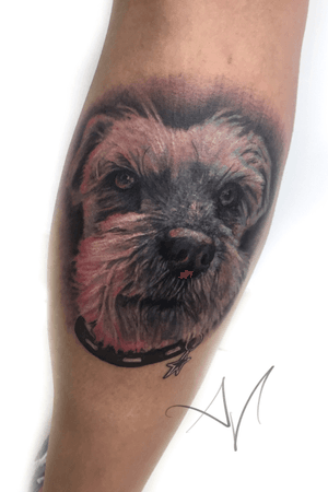 Cubrimiento #coverup #dog #realism #tattooart 