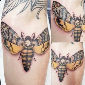 #semirealism #realism #deathsheadmoth #moth 