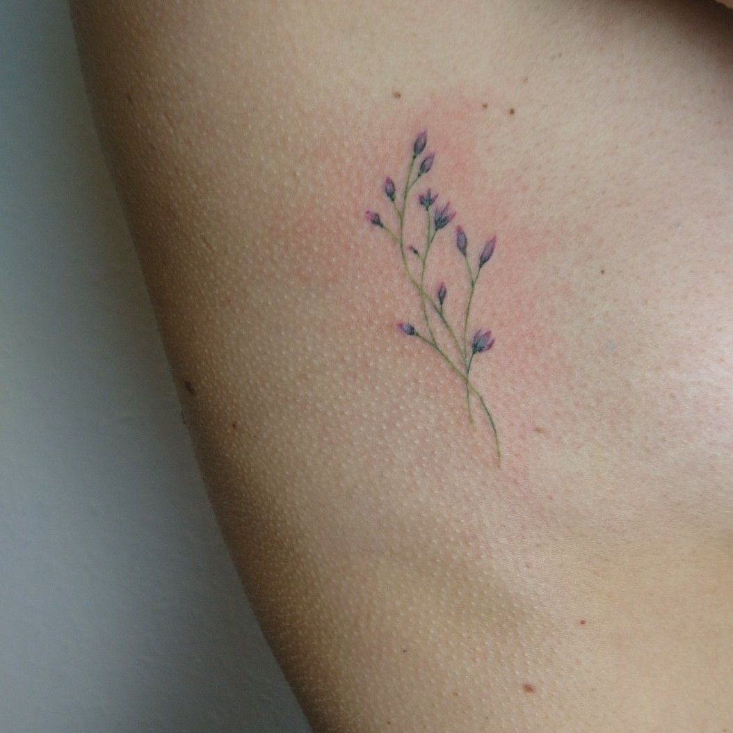 Got my 4th tattoo last Tuesday Fineline birthflowers  rTattooDesigns