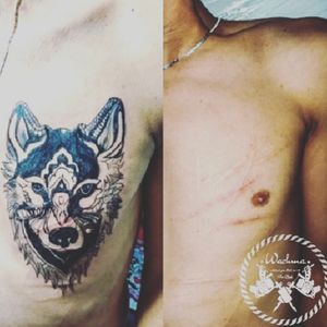 Cover-up #wolf_tattooCamouflage de cicatrice et de traces de naissance 