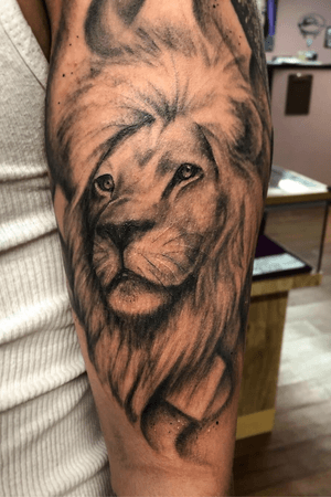 Realistic black and grey lion