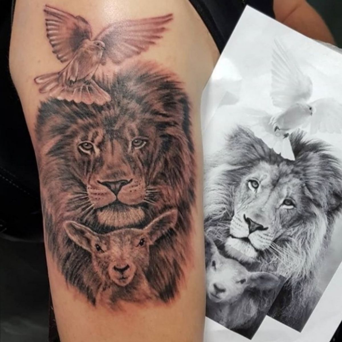 Tattoo uploaded by Imperial ink tattoos • #lion #lamb #dove #tatoo # ...