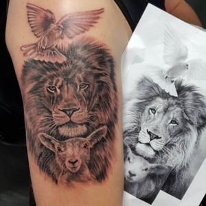 #lion #lamb #dove #tatoo #tattooist #ink #sleeveideas #tattooidea #forearm #forearmtattoos #blackandgreytattoo  #blackandgrey 