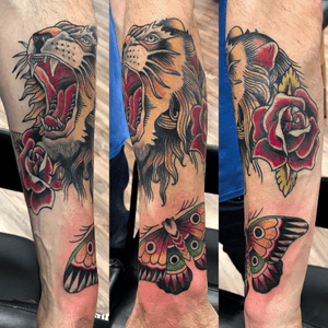 Traditional Lion -MelB