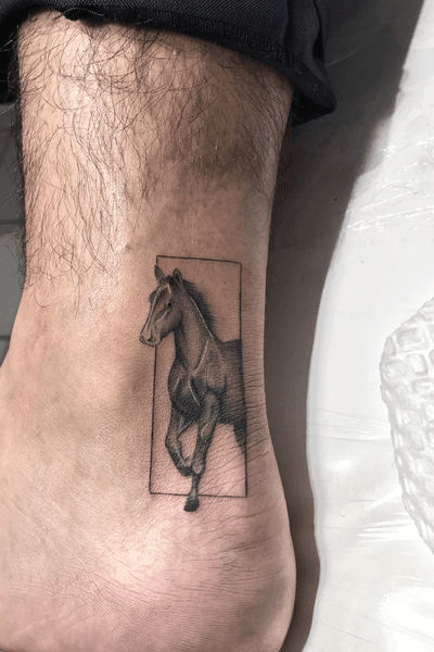 Forearm Black Horse Tattoo  Horse tattoo, Horse tattoo design, Small horse  tattoo