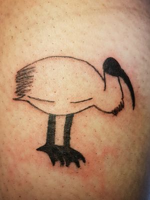 Tattoo of the graceful Ibis aka. The Aussie Bin Chicken. Credit to my cousin Kasey for getting me to do the work on her calf #sacredchaosink