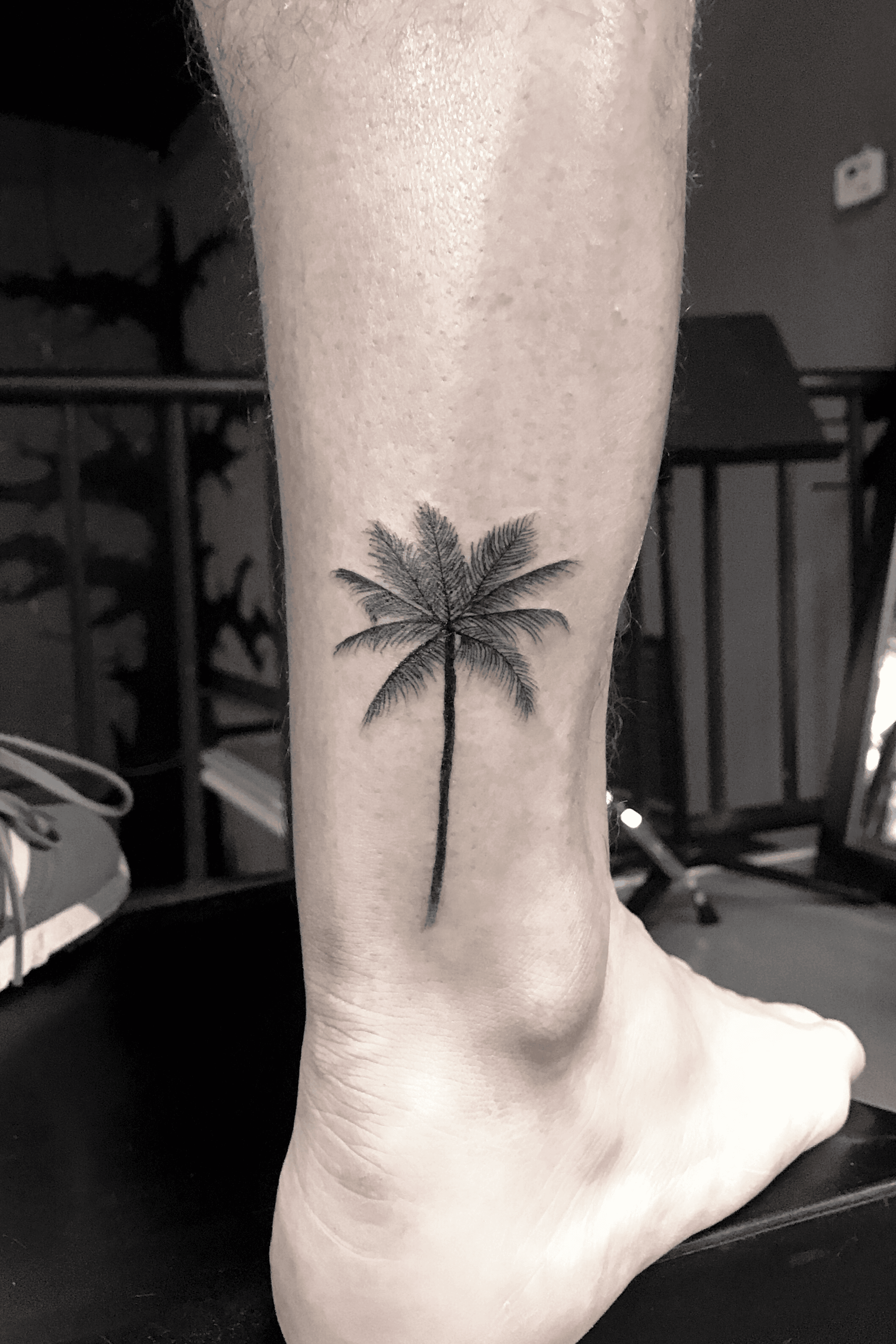 Fineline Skull and Palm Tree Tattoo by Stephanie  TattooNOW