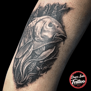 Carp #tattoo #tattooart #tattooartist #fish #fishtattoo #inked #blackandgrey #kwadron #dynamicblack 