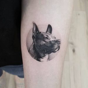“Questers of the truth, that’s who dogs are; seekers after the invisible scent of another being’s authentic core.“-Jeffrey Moussaieff MassonAnother lovely dog, thank you!Done @truecanvas#tat #tats #tattoo #tattoos #ink #inked #inkedlife #freshlyinked #realism #dog #canine #friends #love #think #vienna #truecanvas 