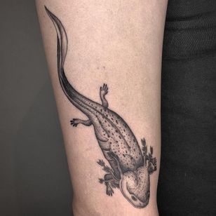 Tatuaje de Vanpira #Vanpira #axolotltattoos #axolotl #animals #nature #tuffs #wandering fish #sealife #sea Creation