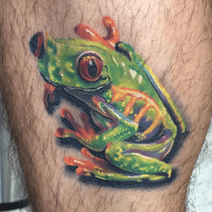 Heres a healed and hairy photo of the red eyed tree frog I did on a calf. #treefrog #frog #legtattoo 