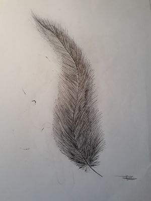 #feather #black and grey