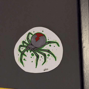 Spider i drew today at the shop