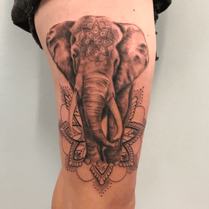 Elephant Mandala Inspired