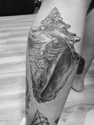 Conch shell on calf 
