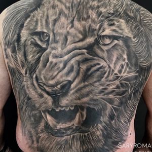 Lion done in 5 sesiones.(HEALED)