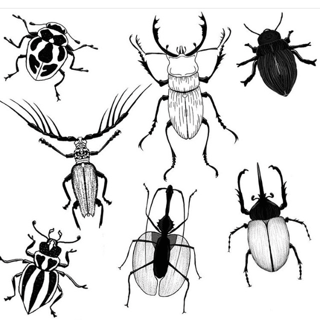 Beetle Tattoos small compilation on Behance