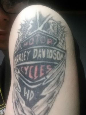 Harley Davidson Motorcycles,  WD grampa. 