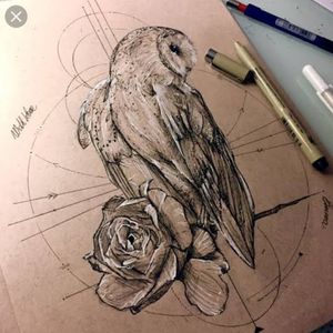 Barn owl with roses 