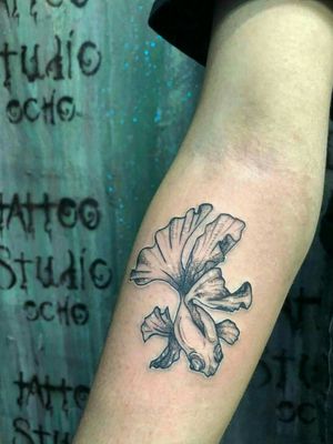 Golden fish 💜💕🌙🍃#tattoo #tattoodesign #tattooedgirl #fish #TattooStudioOcho #mexicanartist #ink #Aradisa 