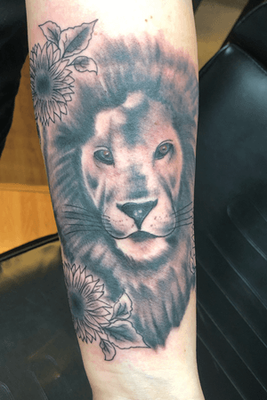 Lion and sunflowers by Trent Parsley