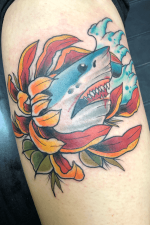 Shark by Trent Parsley