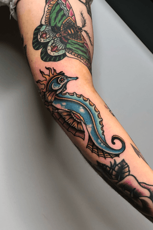 Traditional SEAHORSE