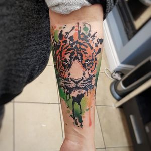 Watercolour tiger