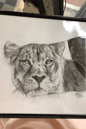 Lioness i did a fair while back ,
