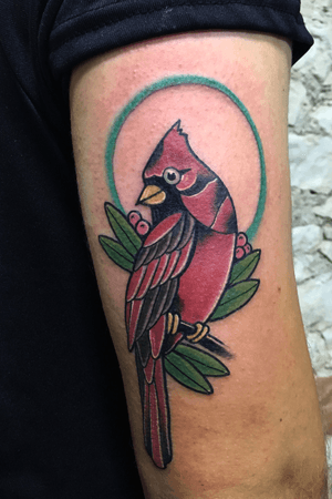 #tattoo #traditional #neotraditional #bird #cardinal 