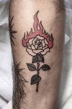 Rosa e fogo