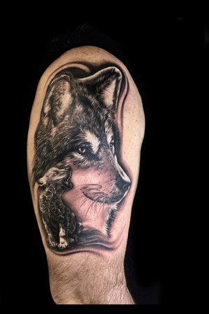 Wolf done in 9 hours using a 3 rl, 7mg and 15mg.