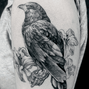 。烏鴉百合_#blackwork #tattoo #synthetic #artwork #corvus