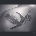 #bird #hand #eduardogaleano #engravingtattoo #fineline #blackwork #tattoo #lujan #argentinatattoo #famous #illustration 