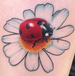Realistic ladybug w/illustrated daisy