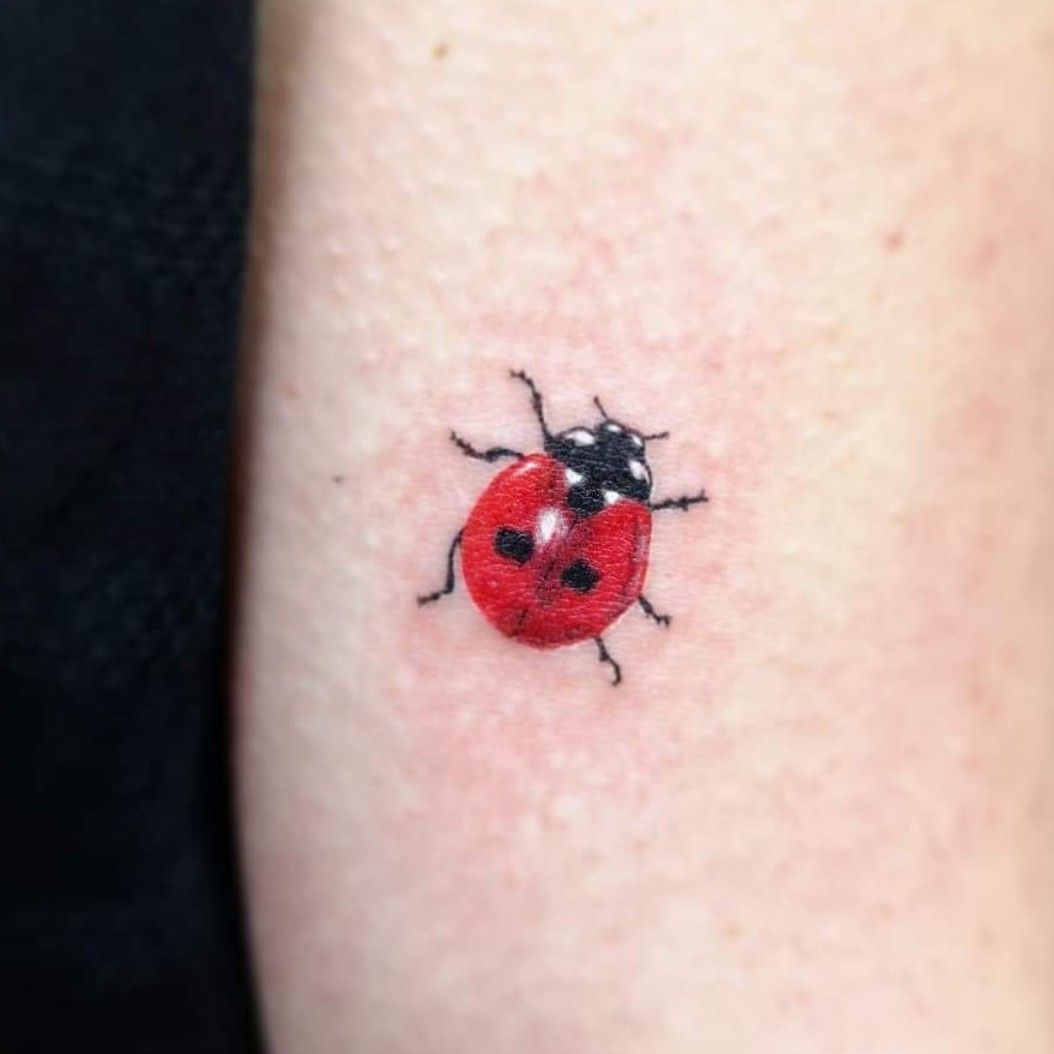 Tiny Red Ladybug Tattoo in 2023  Lady bug tattoo Tattoos Bug tattoo
