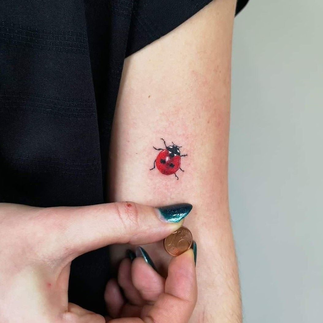 Fine line ladybug tattoo  Lady bug tattoo Minimalist tattoo Tattoos