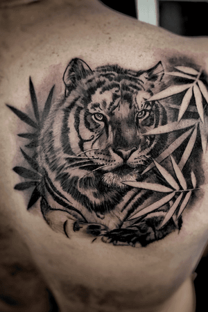 #Tiger #jungle #blackandgrey #blackandgreytattoo #shading #ink #tattooartist 