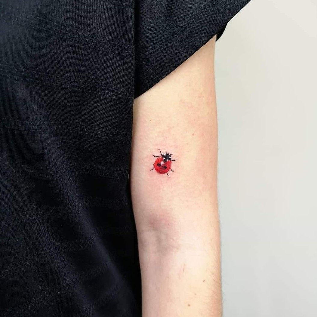 Ladybird Temporary Tattoo Set of 3  Small Tattoos
